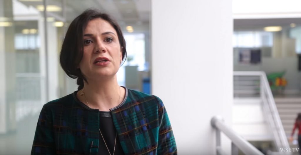 Esnek Yan Haklar Çözümü nedir?