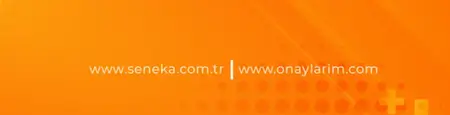Seneka Software - Arka plan resmi